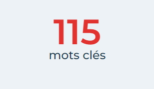 115 mots clés identifiés