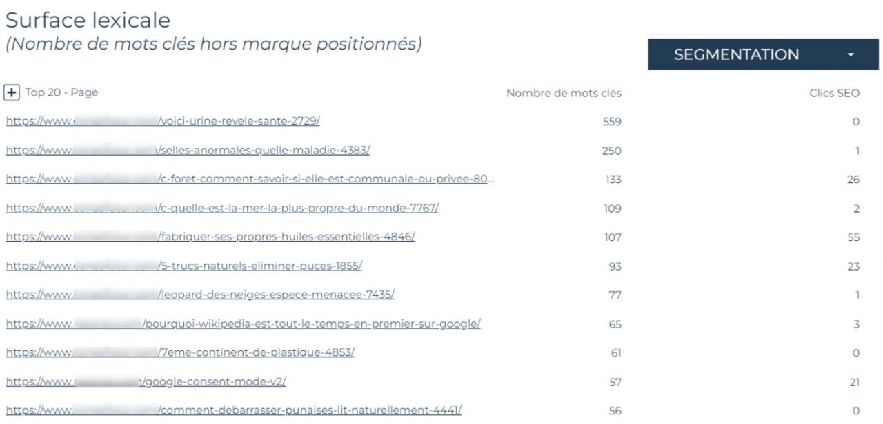 Graphique de l'outil Data Valorisation montrant la surface lexicale SEO d'un site