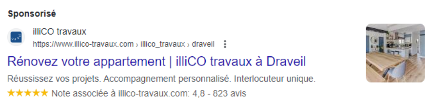 Exemple d’avis marchand (lié à un site) sur le réseau Search