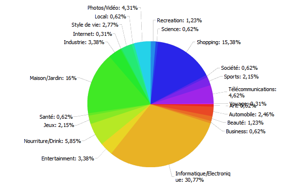 Répartition thématique de la présence de Rue du Commerce sur Google