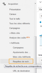 Requêtes de recherche AdWords dans Google Analytics