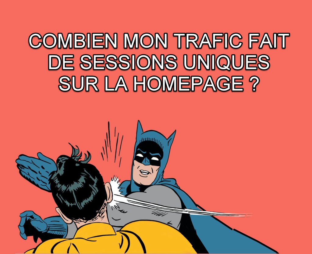 trafic sessions uniques